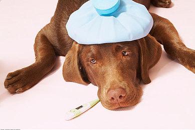 黑色幽默游戏《杀死公主》上架Steam 明年发售